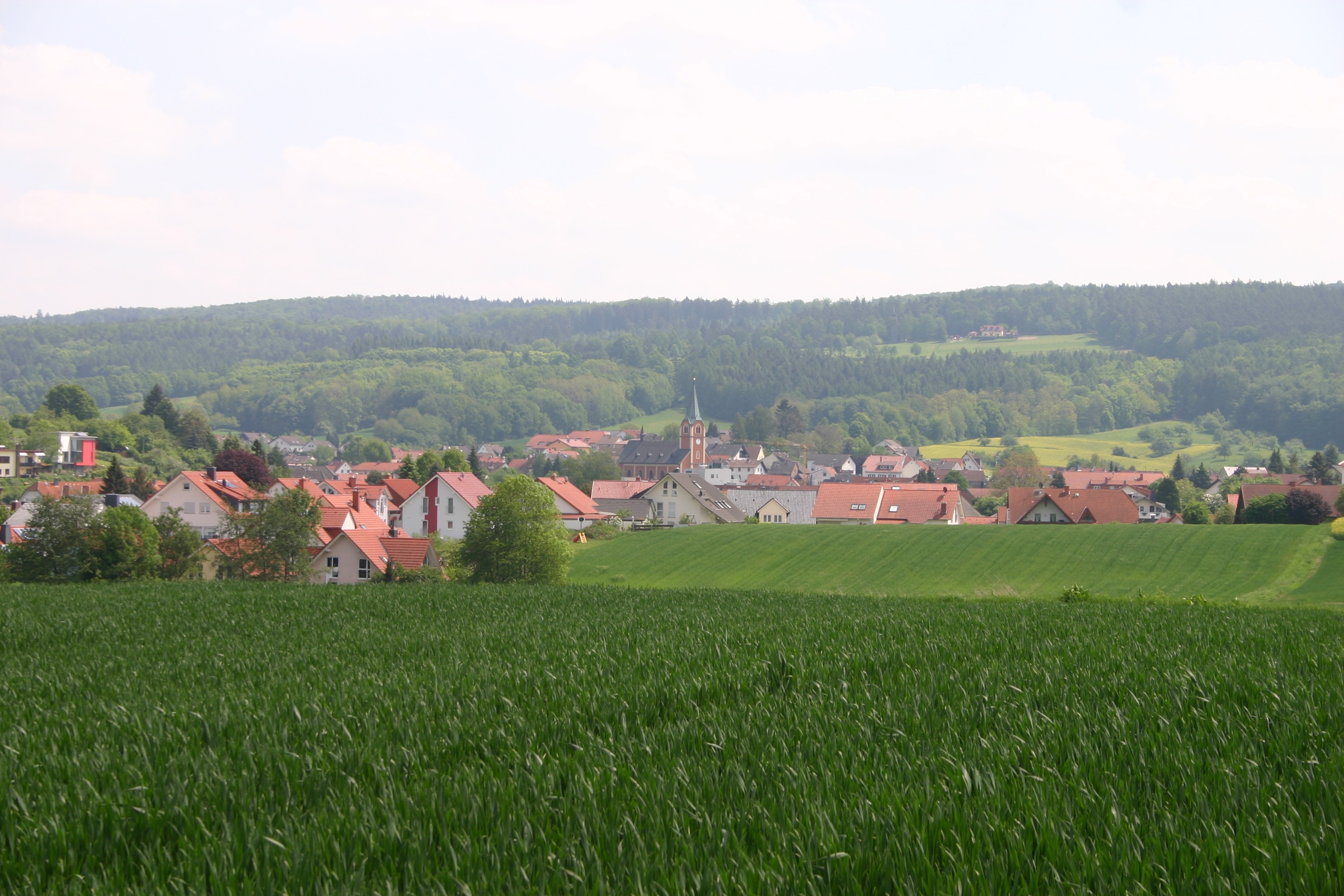 Ortsteil Neuses Das Foto zeigt Freigericht aus der Ferne