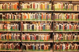 Das Foto zeigt ein Regal mit zahlreichen Büchern in einer Bücherei