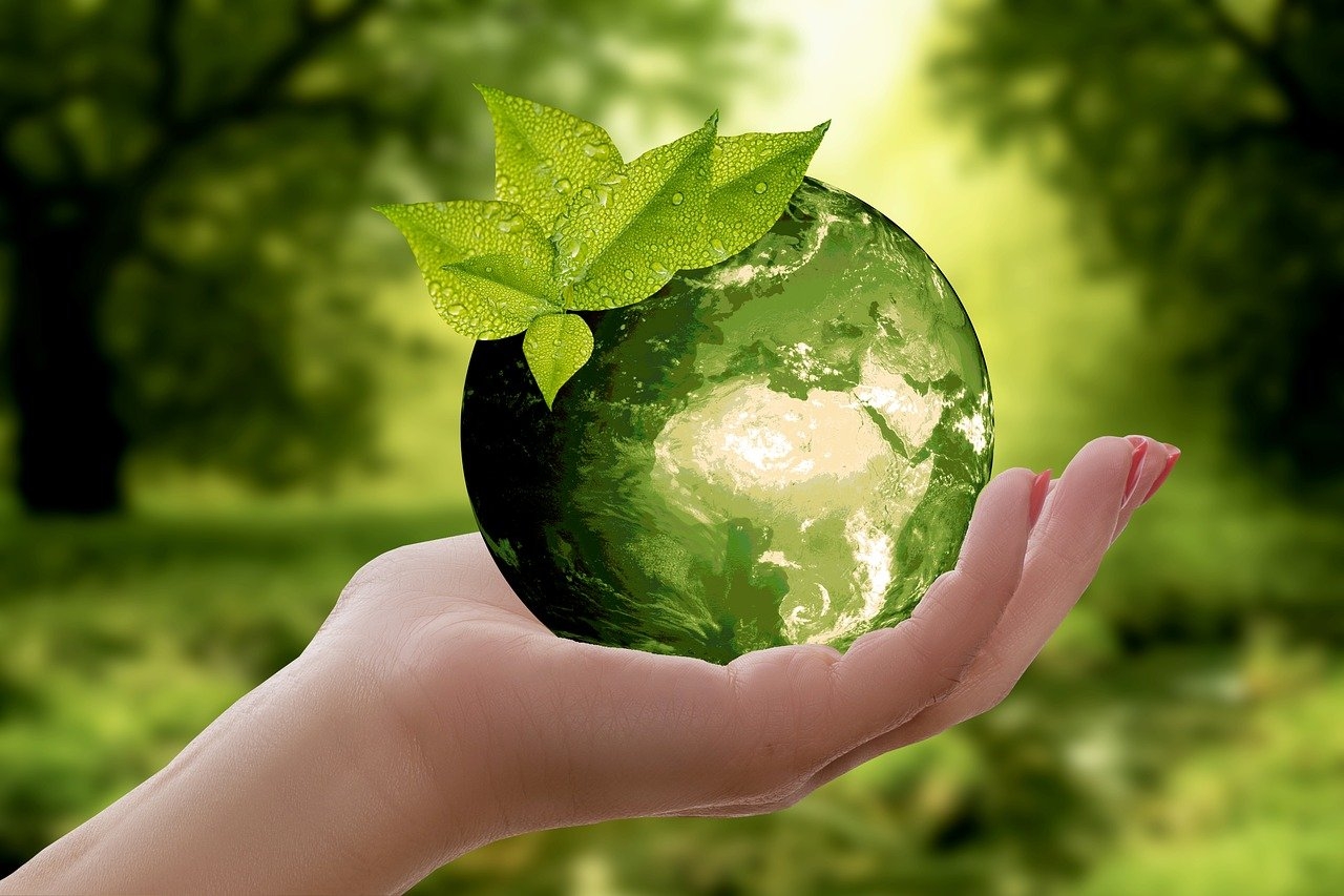 Foto einer Hand die eine Glaskugel mit Natur hält Eine grüne Wiese befindet sich im Hintergrund