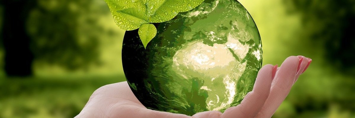Foto einer Hand die eine Glaskugel mit Natur hält Eine grüne Wiese befindet sich im Hintergrund