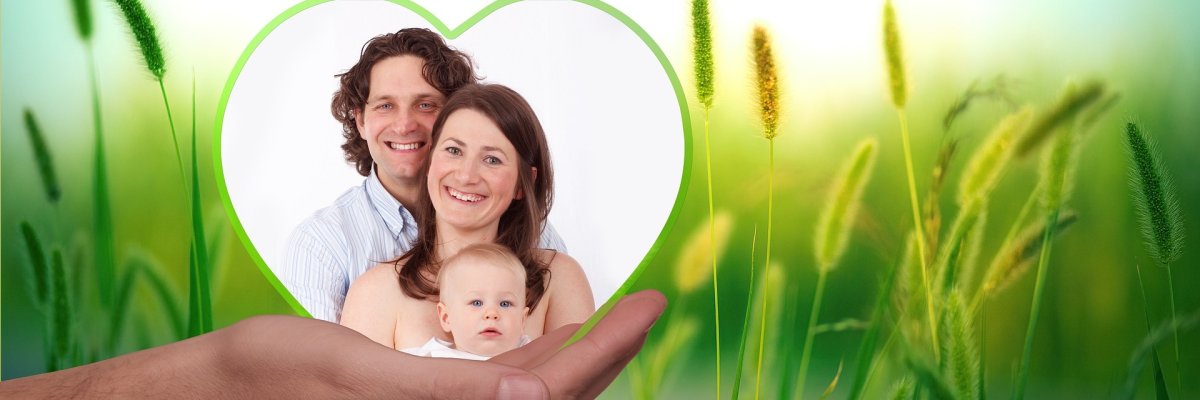 Foto einer Hand, die ein Familienfoto hält.  Grüne Wiese ist im Hintergrund.