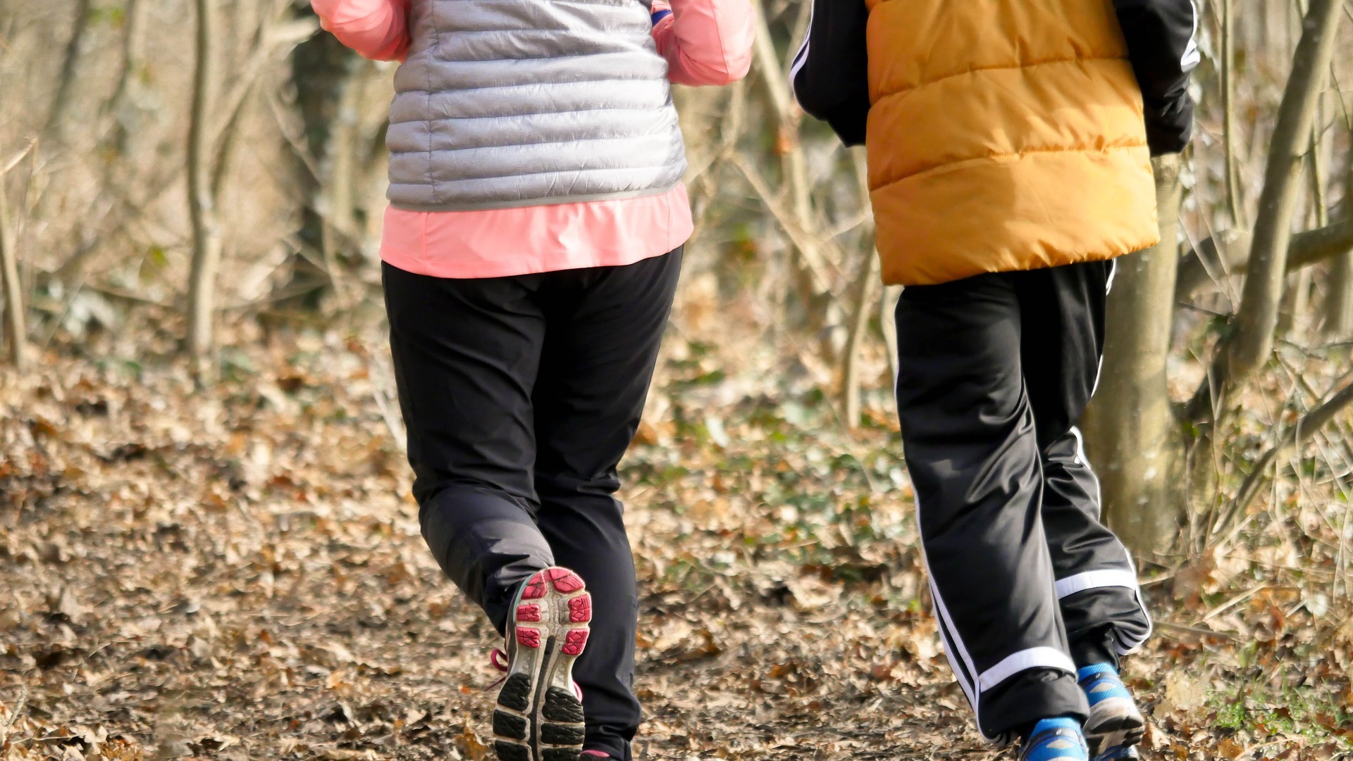 Zwei Jogger Zwei Jogger auf einem Waldweg