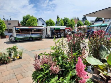Wochenmarkt Stände mit Blumen Das Bild zeigt Stände des Wochenmarkes mit vielen Blumen im Vordergrund