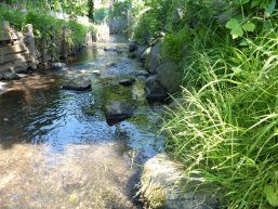 Birkigsbach Foto des Birkigsbachs