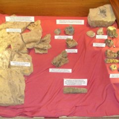 Foto verschiedener Mineralien und Fossilien, die im Heimatmuseum ausgestellt sind