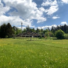 Das Bild zeigt die Visualisierung möglicher Windkraftanlagen an der Rodfeld-Eiche.