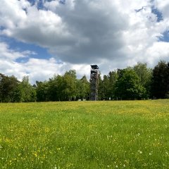 Das Bild zeigt die Visualisierung möglicher Windkraftanlagen an der Rodfeld-Eiche.