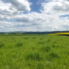 Das Bild zeigt die Visualisierung möglicher Windkraftanlagen am Schwedenkreuz.