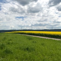 Das Bild zeigt die Visualisierung möglicher Windkraftanlagen am Schwedenkreuz