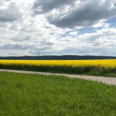 Das Bild zeigt die Visualisierung möglicher Windkraftanlagen am Schwedenkreuz.