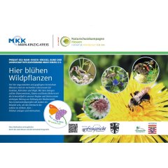 Foto des Posters Main-Kinzig blüht, es zeigt eine Biene im Anflug, einen Stieglitz, einen Kleinen Fuchs, einen gefleckten Schmalbock auf einer Sterndolde, eine Hummel auf einem Löwenzahn und das Logo der Aktion und einen Text, der erklärt, dass dort, wo das Poster aufgestellt wird, gerade eine Blühwiese entsteht.