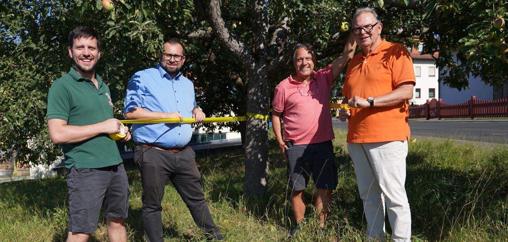 Ein gelbes Band am Baumstamm signalisiert: Hier kann geerntet werden. Bürgermeister Waldemar Gogel, Erster Beigeordneter Heinz Höfler, sowie Christoph und Philipp Tautges von der Kelterei Trageser freuen sich auf die bevorstehende Apfelernte.