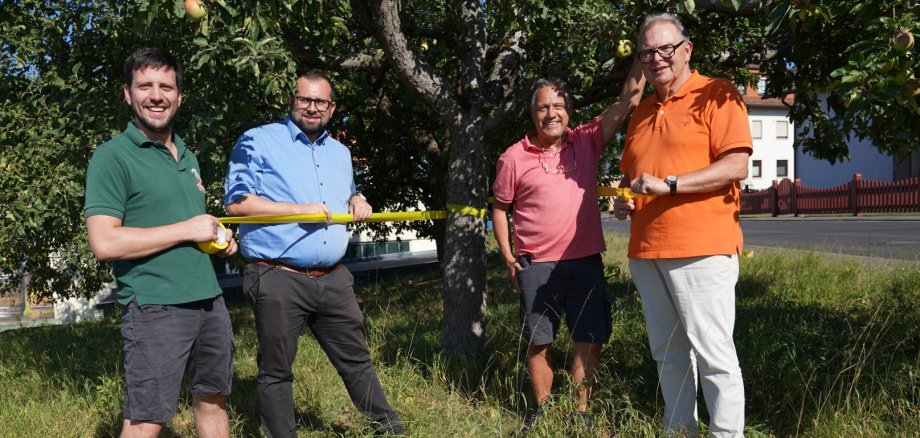 Ein gelbes Band am Baumstamm signalisiert: Hier kann geerntet werden. Bürgermeister Waldemar Gogel, Erster Beigeordneter Heinz Höfler, sowie Christoph und Philipp Tautges von der Kelterei Trageser freuen sich auf die bevorstehende Apfelernte.