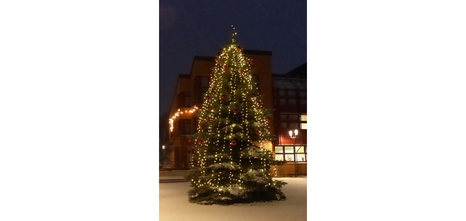Weihnachtsbaum auf dem Rathausplatz im Schnee